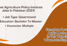Latest Agriculture Policy Institute API Jobs 2024